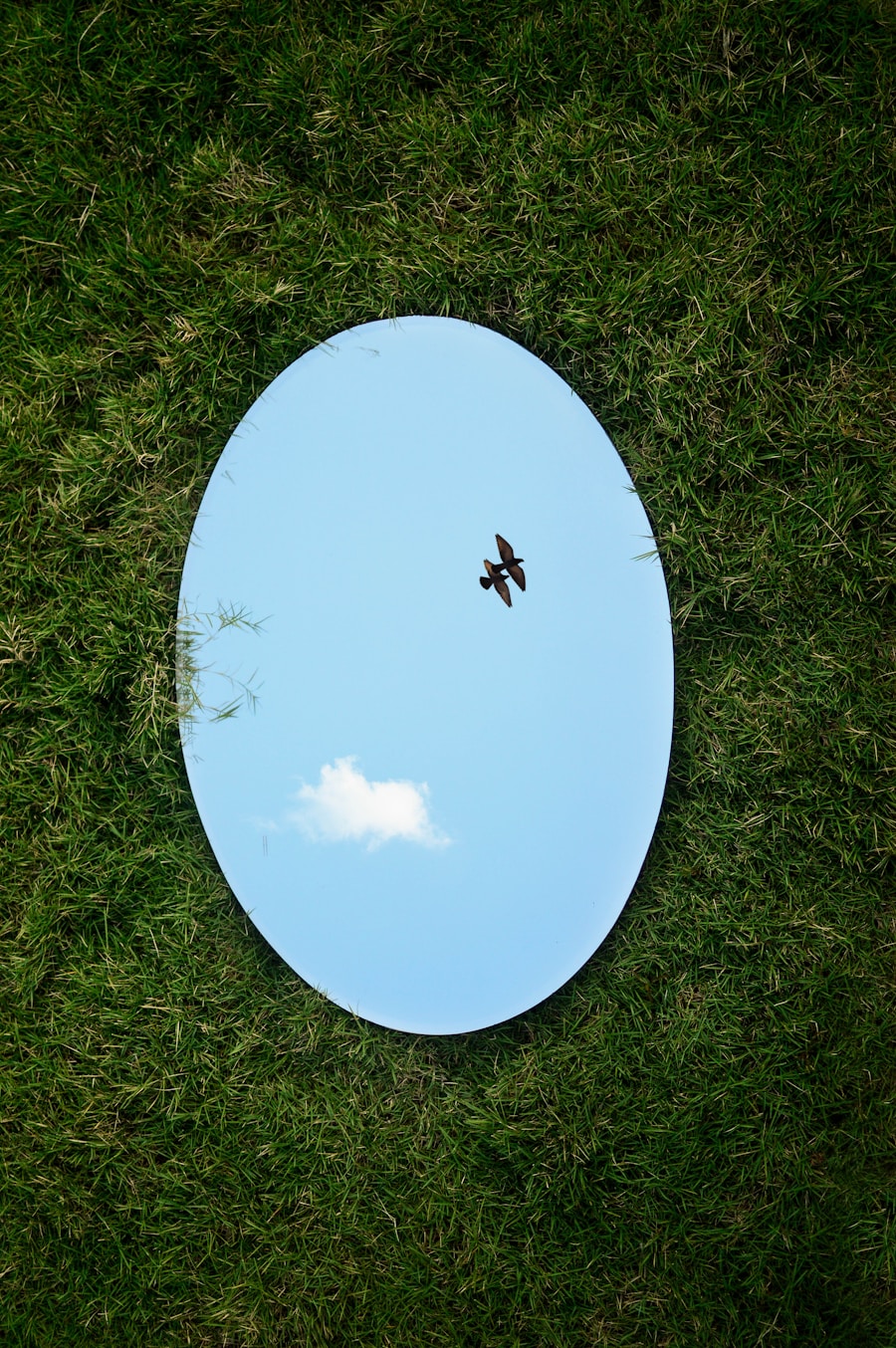 Photo Self-reflection as a tool for personal growth
